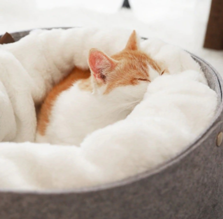 Aber Cozy Cat Bed