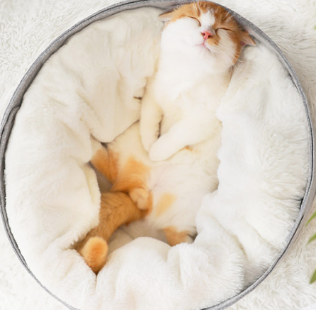 Aber Cozy Cat Bed