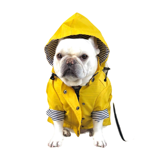 Aber Dog Raincoat - Yellow