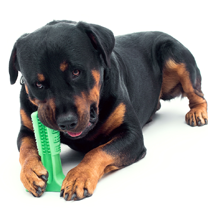 Aber Silicone Pet Toothbrush Dog Tooth Stick Brush