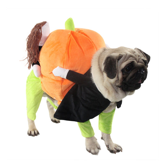 Pumpkin Halloween Dog Cat Costume