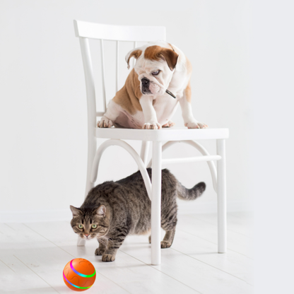 Aber Pet Toy Ball Cats Dogs With Led Flashing Toys